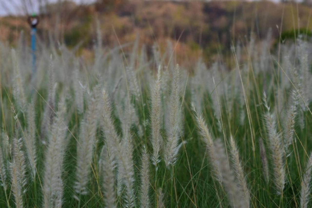 הוילה Pak Chong Roukh Kiri Khaoyai, The Centara Collection מראה חיצוני תמונה